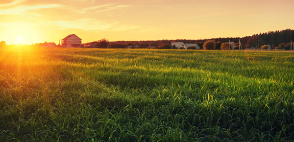 A farm at sunset