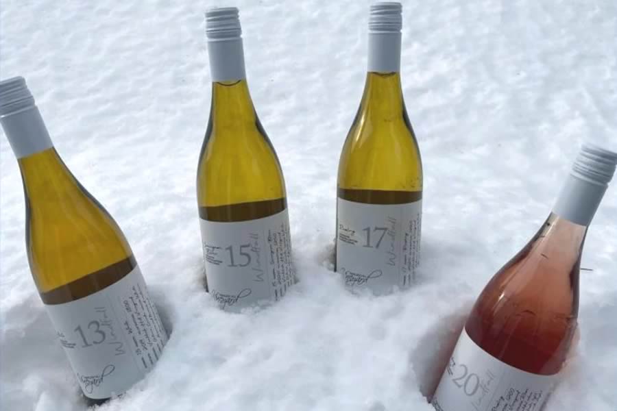 Bottles of wine cooling in the snow