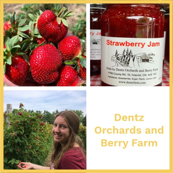 Photo montage of Dentz Orchards