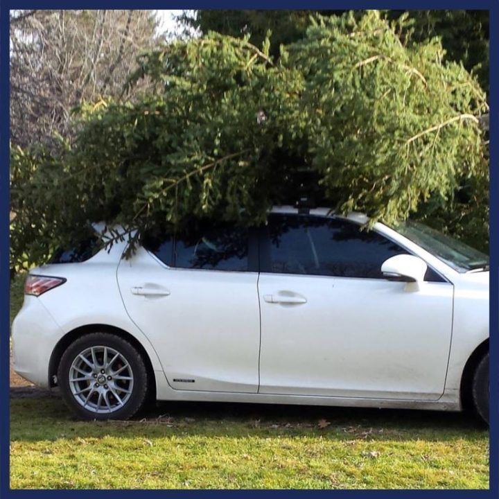Christmas tree on a car