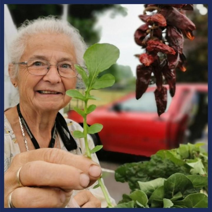 A woman proudly shows a leaf vegetable