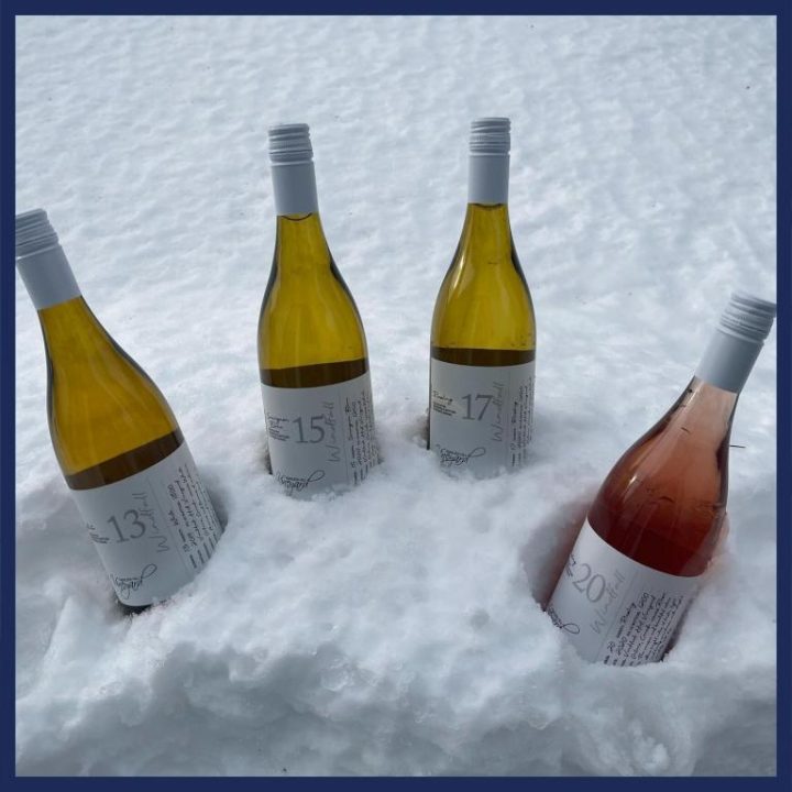 Bottles of white wine cooling in snow