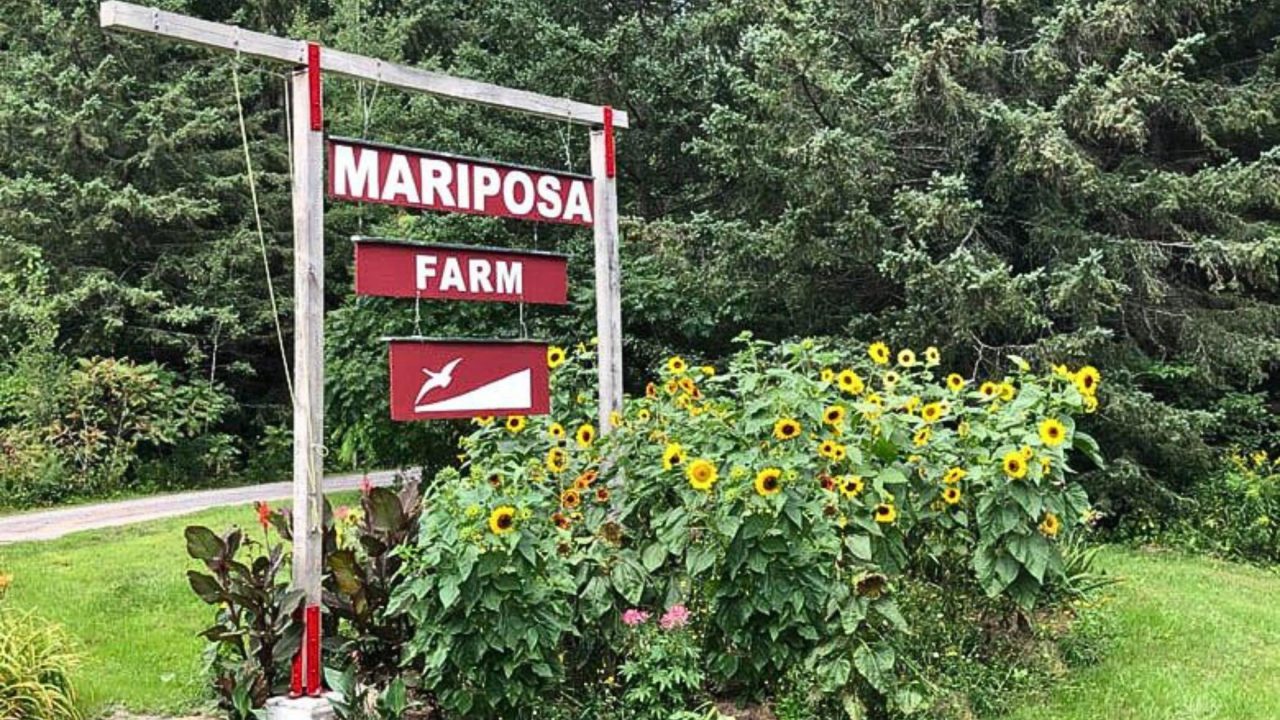 ferme mariposa farm sign