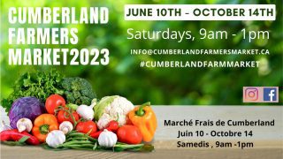 Cumberland Market event