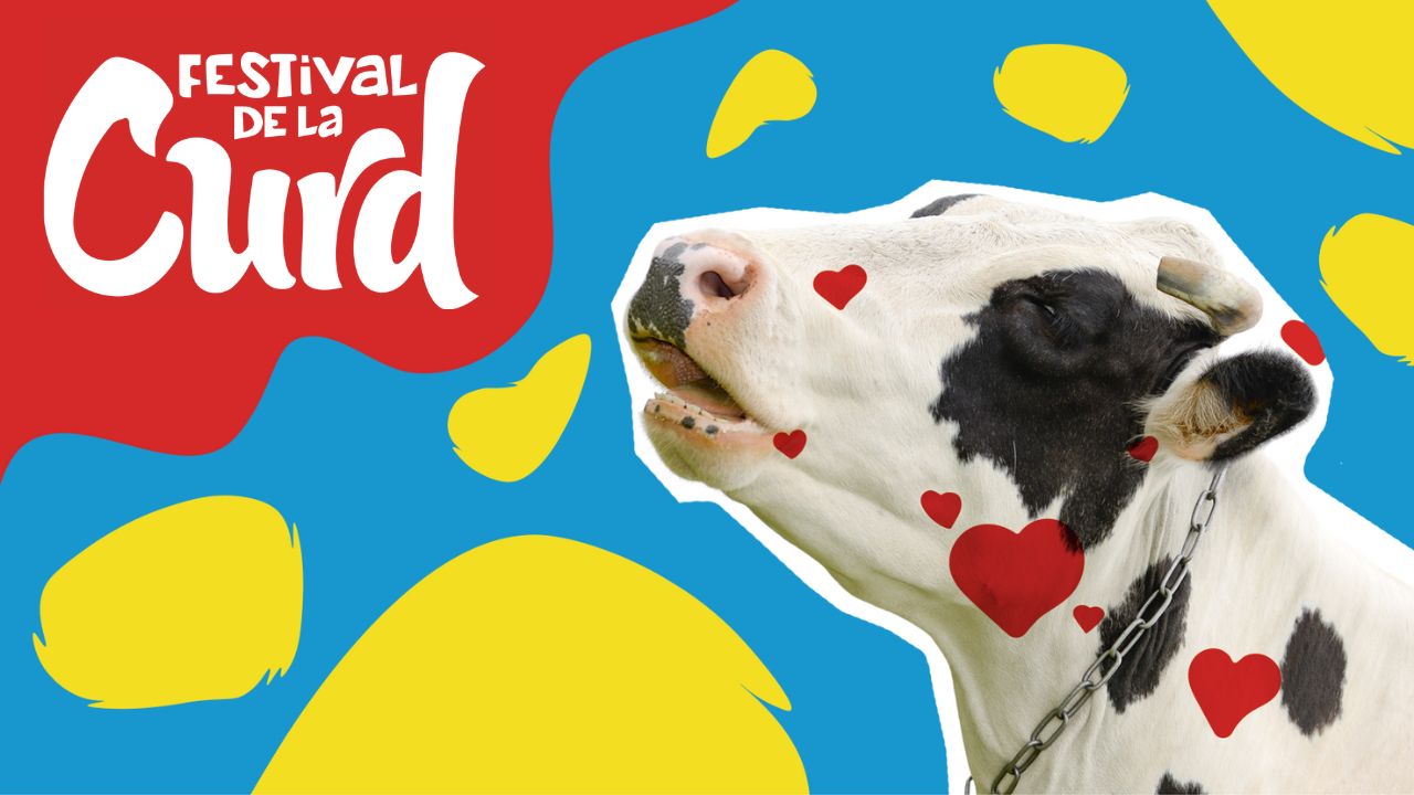 Singing cow with festival logo