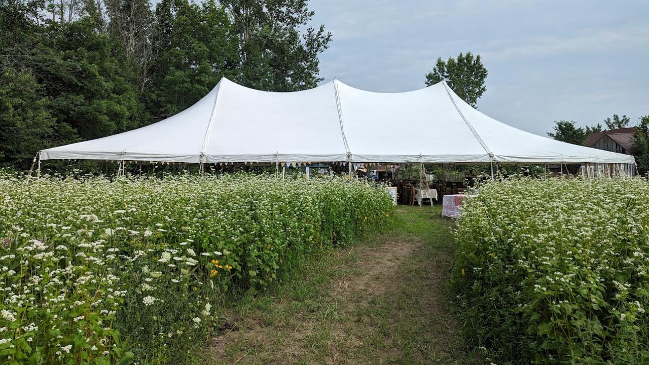 paperboat farm field and tent