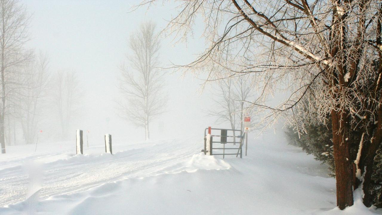 trail in the winter